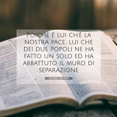 Efesini 2:14 RIV Immagine del Versetto della Bibbia
