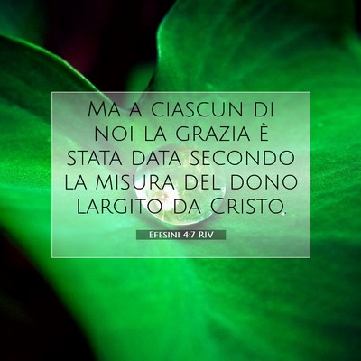 Efesini 4:7 RIV Immagine del Versetto della Bibbia