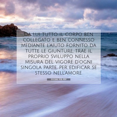 Efesini 4:16 RIV Immagine del Versetto della Bibbia