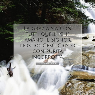 Efesini 6:24 RIV Immagine del Versetto della Bibbia