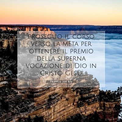 Filippesi 3:14 RIV Immagine del Versetto della Bibbia