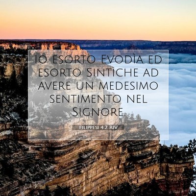 Filippesi 4:2 RIV Immagine del Versetto della Bibbia