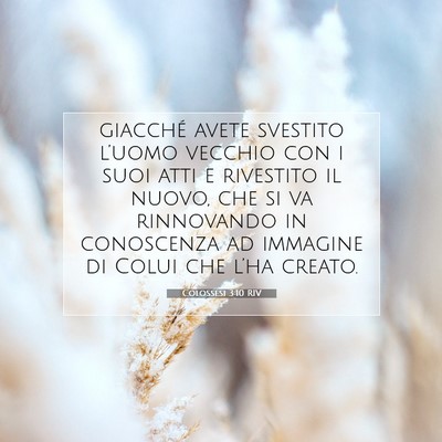 Colossesi 3:10 RIV Immagine del Versetto della Bibbia
