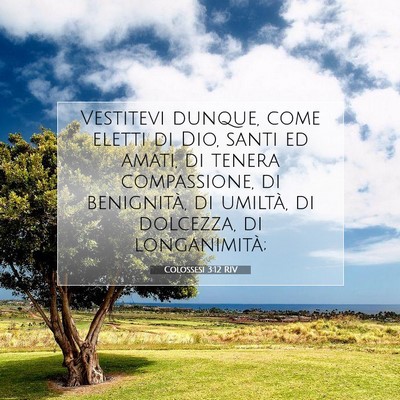 Colossesi 3:12 RIV Immagine del Versetto della Bibbia
