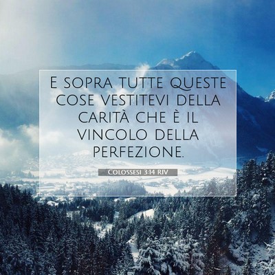 Colossesi 3:14 RIV Immagine del Versetto della Bibbia