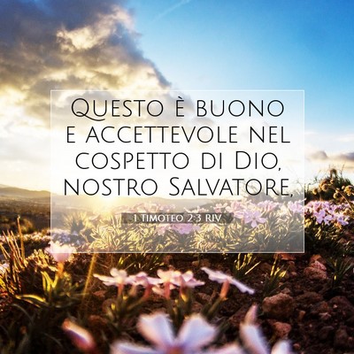 1 Timoteo 2:3 RIV Immagine del Versetto della Bibbia