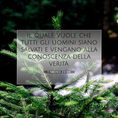 1 Timoteo 2:4 RIV Immagine del Versetto della Bibbia