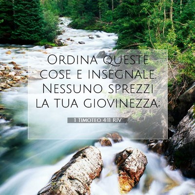 1 Timoteo 4:11 RIV Immagine del Versetto della Bibbia