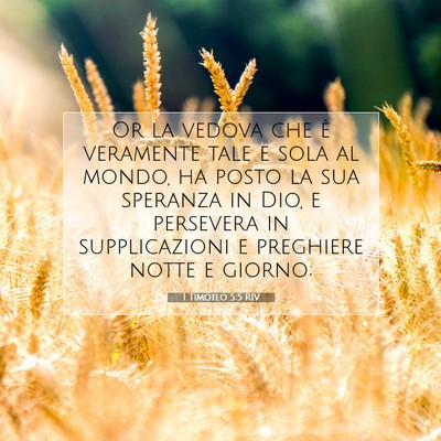1 Timoteo 5:5 RIV Immagine del Versetto della Bibbia