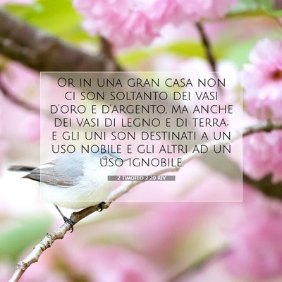 2 Timoteo 2:20 RIV Immagine del Versetto della Bibbia