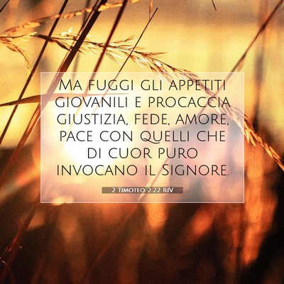 2 Timoteo 2:22 RIV Immagine del Versetto della Bibbia