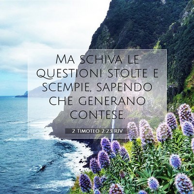 2 Timoteo 2:23 RIV Immagine del Versetto della Bibbia