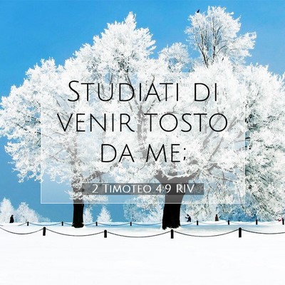 2 Timoteo 4:9 RIV Immagine del Versetto della Bibbia