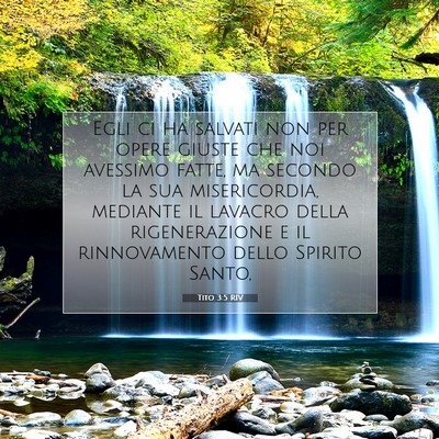 Tito 3:5 RIV Immagine del Versetto della Bibbia