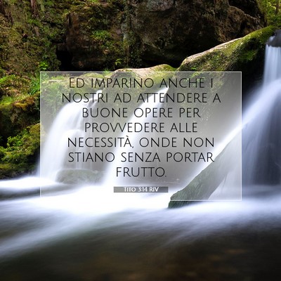 Tito 3:14 RIV Immagine del Versetto della Bibbia