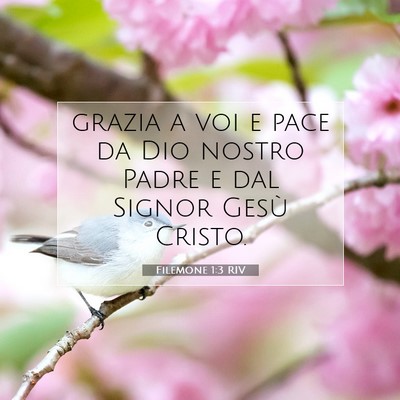 Filemone 1:3 Versetto della Bibbia Spiegato