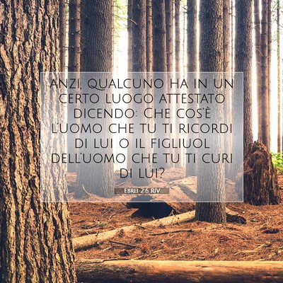Ebrei 2:6 Versetto della Bibbia Spiegato