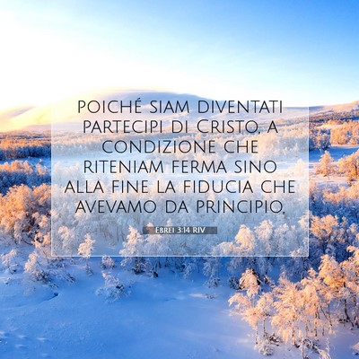 Ebrei 3:14 RIV Immagine del Versetto della Bibbia