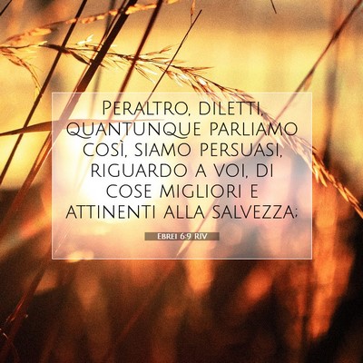 Ebrei 6:9 RIV Immagine del Versetto della Bibbia