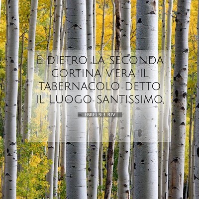 Ebrei 9:3 Versetto della Bibbia Spiegato