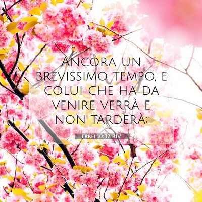 Ebrei 10:37 RIV Immagine del Versetto della Bibbia