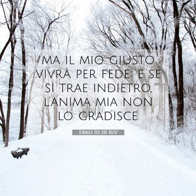 Ebrei 10:38 RIV Immagine del Versetto della Bibbia