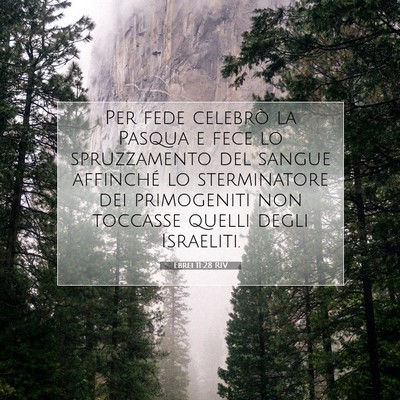 Ebrei 11:28 Versetto della Bibbia Spiegato