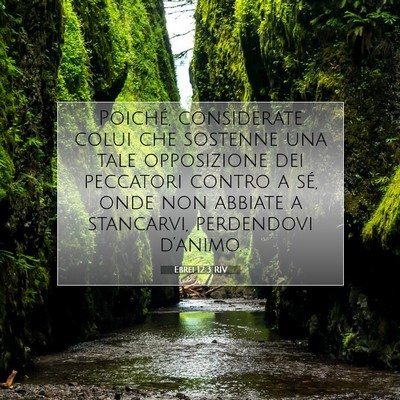 Ebrei 12:3 RIV Immagine del Versetto della Bibbia