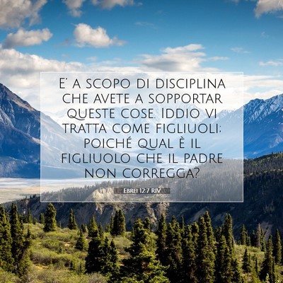 Ebrei 12:7 RIV Immagine del Versetto della Bibbia