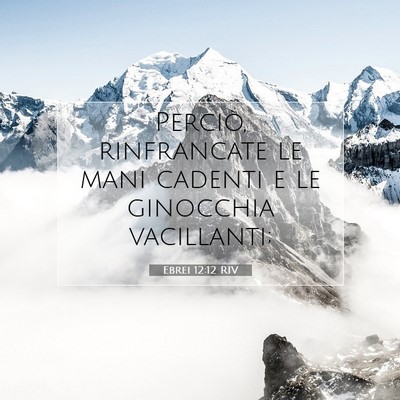 Ebrei 12:12 RIV Immagine del Versetto della Bibbia