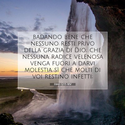 Ebrei 12:15 RIV Immagine del Versetto della Bibbia