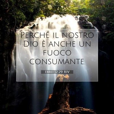 Ebrei 12:29 RIV Immagine del Versetto della Bibbia