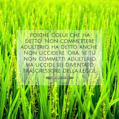 Giacomo 2:11 Versetto della Bibbia Spiegato