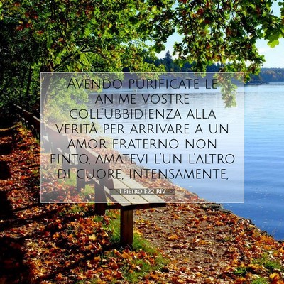 1 Pietro 1:22 Versetto della Bibbia Spiegato