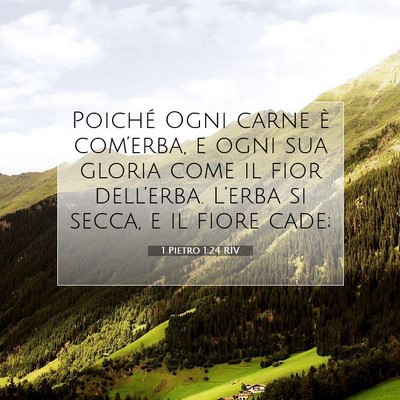 1 Pietro 1:24 Versetto della Bibbia Spiegato