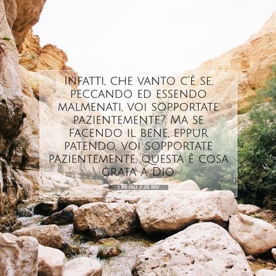 1 Pietro 2:20 RIV Immagine del Versetto della Bibbia