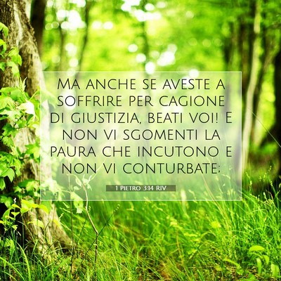 1 Pietro 3:14 RIV Immagine del Versetto della Bibbia