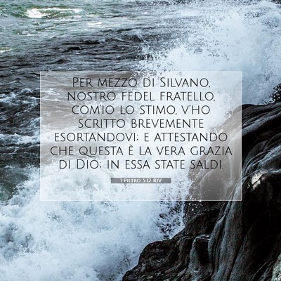 1 Pietro 5:12 RIV Immagine del Versetto della Bibbia