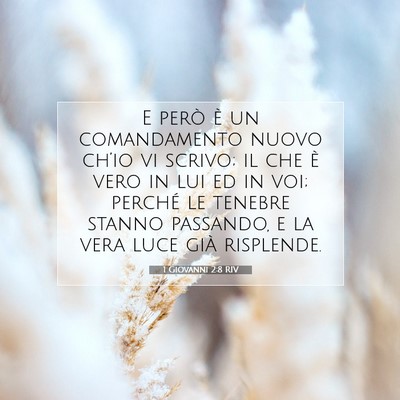 1 Giovanni 2:8 RIV Immagine del Versetto della Bibbia