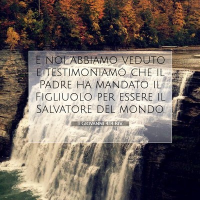 1 Giovanni 4:14 RIV Immagine del Versetto della Bibbia