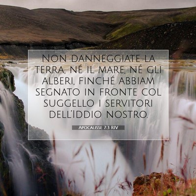 Apocalisse 7:3 RIV Immagine del Versetto della Bibbia