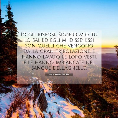Apocalisse 7:14 RIV Immagine del Versetto della Bibbia