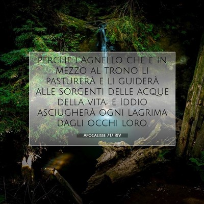Apocalisse 7:17 RIV Immagine del Versetto della Bibbia