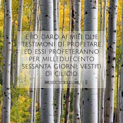 Apocalisse 11:3 RIV Immagine del Versetto della Bibbia