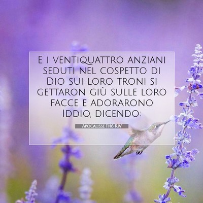 Apocalisse 11:16 Versetto della Bibbia Spiegato