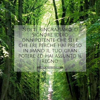 Apocalisse 11:17 RIV Immagine del Versetto della Bibbia