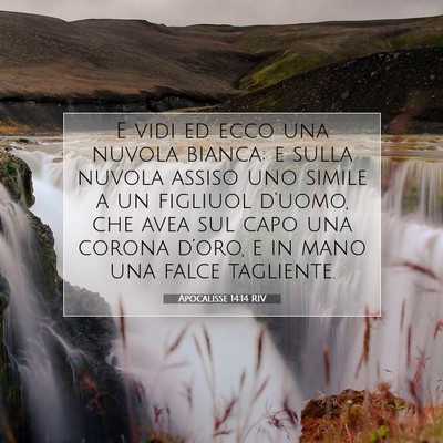 Apocalisse 14:14 RIV Immagine del Versetto della Bibbia